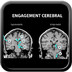 Anatomie du cerveau engagements-cérébraux